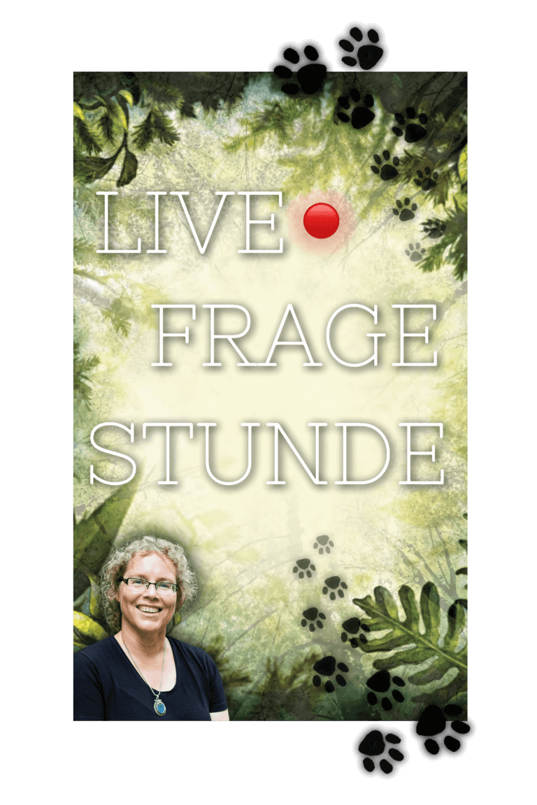 Live-Fragestunde